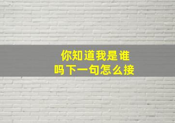 你知道我是谁吗下一句怎么接