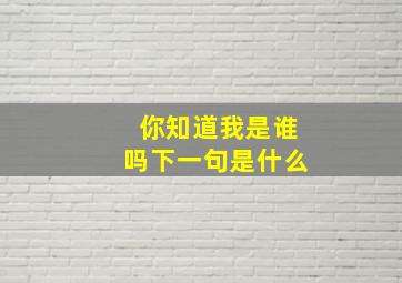 你知道我是谁吗下一句是什么