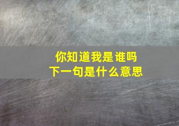 你知道我是谁吗下一句是什么意思