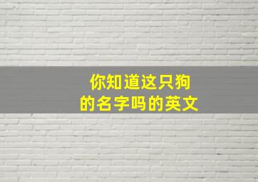 你知道这只狗的名字吗的英文