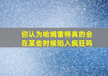 你认为哈姆雷特真的会在某些时候陷入疯狂吗