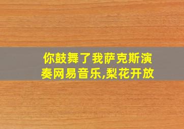 你鼓舞了我萨克斯演奏网易音乐,梨花开放