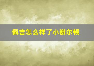 佩吉怎么样了小谢尔顿