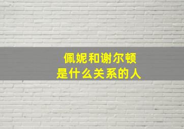 佩妮和谢尔顿是什么关系的人