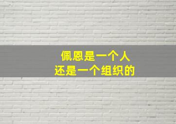 佩恩是一个人还是一个组织的