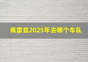 佩雷兹2025年去哪个车队