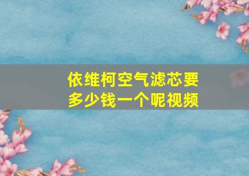 依维柯空气滤芯要多少钱一个呢视频