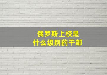 俄罗斯上校是什么级别的干部