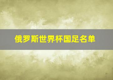 俄罗斯世界杯国足名单