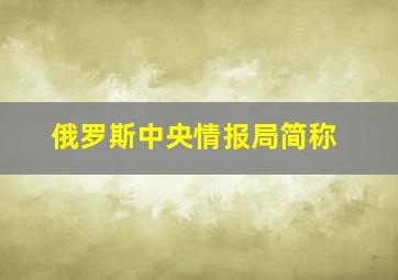 俄罗斯中央情报局简称