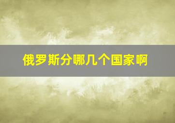 俄罗斯分哪几个国家啊