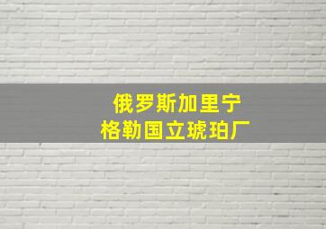 俄罗斯加里宁格勒国立琥珀厂