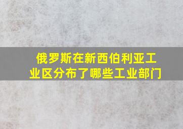 俄罗斯在新西伯利亚工业区分布了哪些工业部门