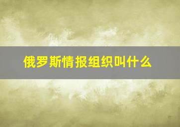 俄罗斯情报组织叫什么