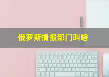 俄罗斯情报部门叫啥