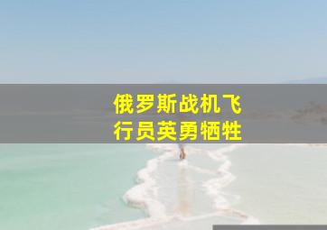 俄罗斯战机飞行员英勇牺牲