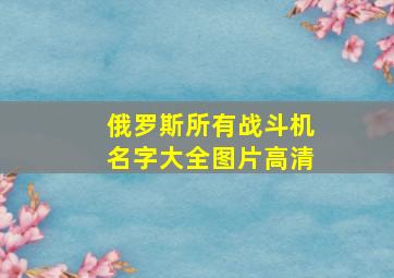 俄罗斯所有战斗机名字大全图片高清