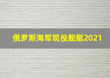 俄罗斯海军现役舰艇2021