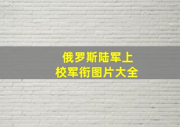 俄罗斯陆军上校军衔图片大全