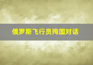 俄罗斯飞行员殉国对话