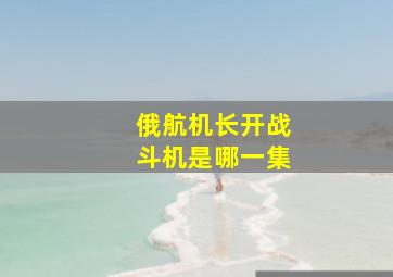 俄航机长开战斗机是哪一集