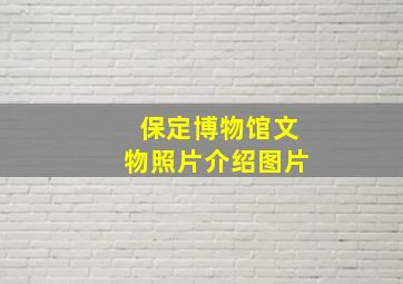 保定博物馆文物照片介绍图片