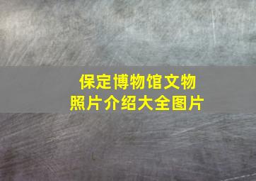 保定博物馆文物照片介绍大全图片