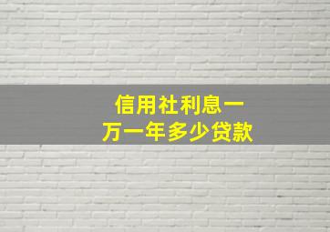 信用社利息一万一年多少贷款