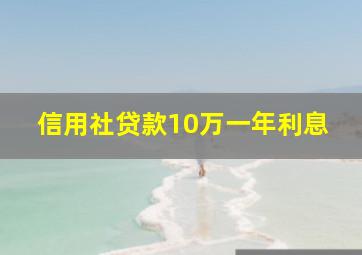 信用社贷款10万一年利息