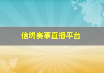 信鸽赛事直播平台