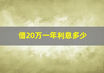 借20万一年利息多少