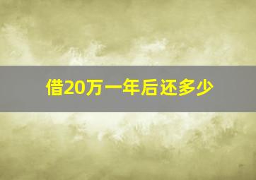 借20万一年后还多少