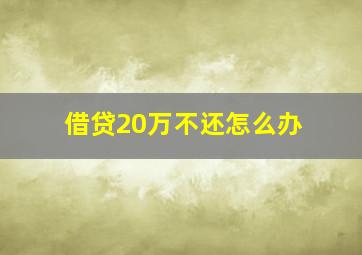 借贷20万不还怎么办