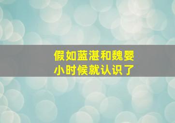 假如蓝湛和魏婴小时候就认识了