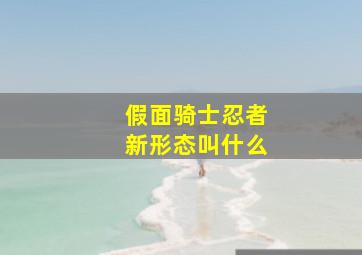 假面骑士忍者新形态叫什么