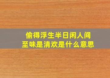 偷得浮生半日闲人间至味是清欢是什么意思