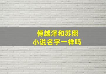 傅越泽和苏熙小说名字一样吗