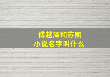 傅越泽和苏熙小说名字叫什么