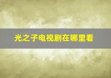 光之子电视剧在哪里看