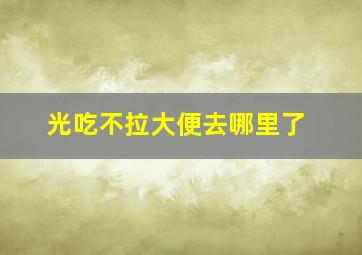 光吃不拉大便去哪里了