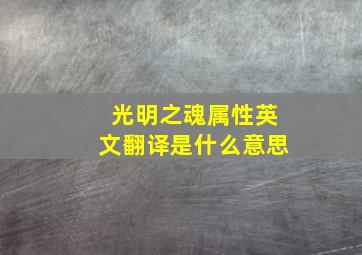 光明之魂属性英文翻译是什么意思