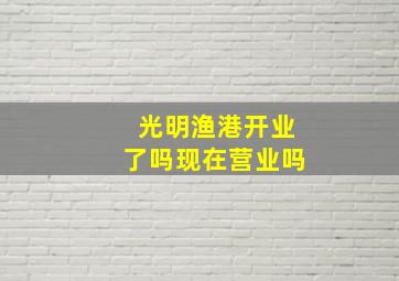 光明渔港开业了吗现在营业吗