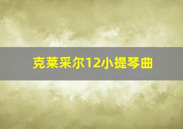 克莱采尔12小提琴曲