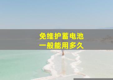 免维护蓄电池一般能用多久