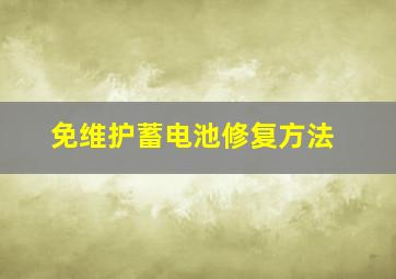 免维护蓄电池修复方法