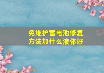 免维护蓄电池修复方法加什么液体好