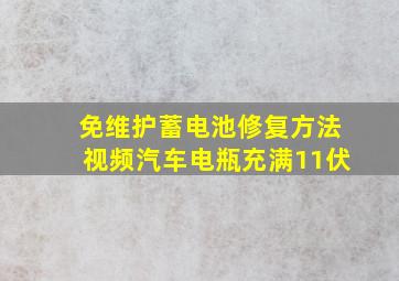 免维护蓄电池修复方法视频汽车电瓶充满11伏