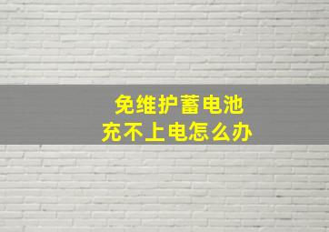 免维护蓄电池充不上电怎么办