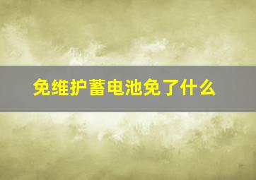 免维护蓄电池免了什么