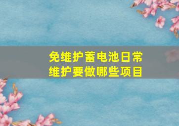 免维护蓄电池日常维护要做哪些项目